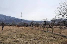 Land For Sale, Navazi