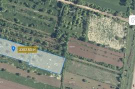 Land For Sale, Navazi