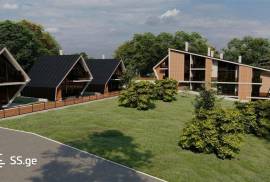 House For Sale, 20 Room, Borjomi , Bakuriani
