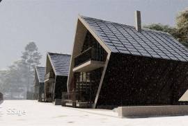 House For Sale, 20 Room, Borjomi , Bakuriani