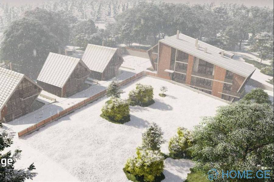 House For Sale, 20 Room, Borjomi , Bakuriani