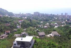 Land For Sale, Gonio