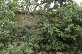 Land For Sale, Non Agricultural, Tetritskaro