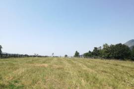 Land For Sale, Mzetamze