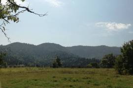 Land For Sale, Mzetamze