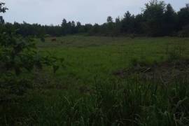 Land For Sale, Anaklia