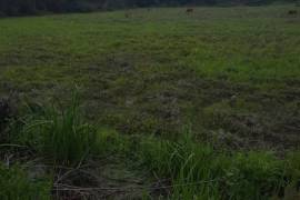 Land For Sale, Anaklia