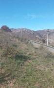 Land For Sale, Napetvrebi