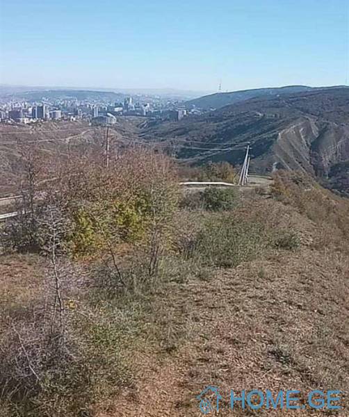 Land For Sale, Napetvrebi