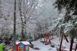 Daily Apartment Rent, 1 Room, New building, Borjomi , Bakuriani