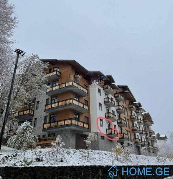 Daily Apartment Rent, 1 Room, New building, Borjomi , Bakuriani