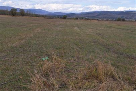 Land For Sale, Ghulelebi