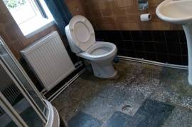 House For Rent, 2 Room, Suburbs of Tbilisi, Tskneti