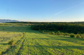 Продается Земля, Сельскохозяйственные, Akhatani