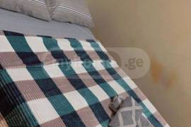 Daily Apartment Rent, New building, Gldani