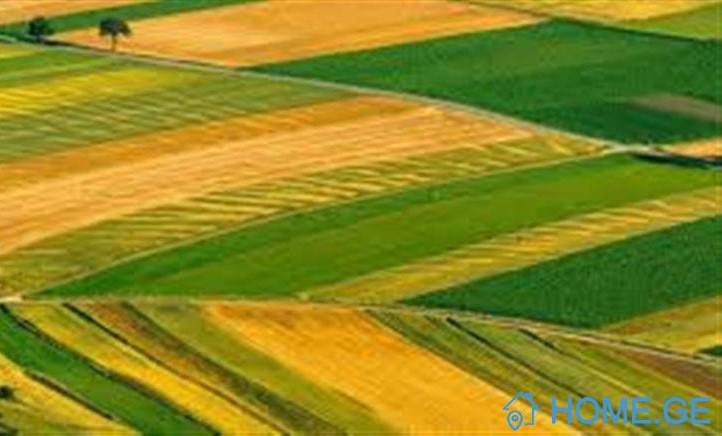Lease Land , Navtlugi