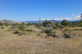 Land For Sale, Agricultural