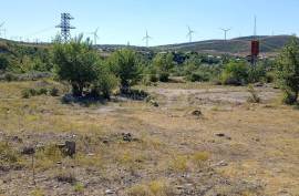 Land For Sale, Agricultural