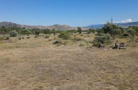 Land For Sale, Agricultural
