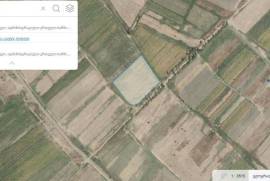 Land For Sale, Khashmi