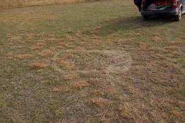 Land For Sale, Agricultural, Kaspi