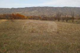 Land For Sale, Agricultural, Kaspi