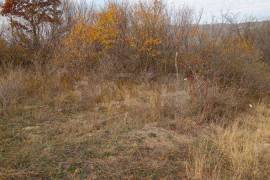 Land For Sale, Agricultural, Kaspi