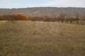 Land For Sale, Agricultural, Kaspi