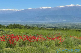 Land For Sale, Commercial