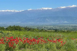 Land For Sale, Commercial