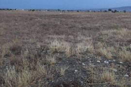 Land For Sale, Gamarjveba 