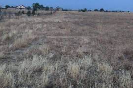 Land For Sale, Gamarjveba 