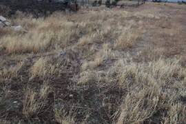 Land For Sale, Gamarjveba 