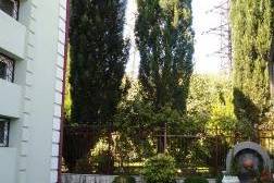 House For Sale, Vedzisi