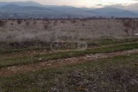 Land For Sale, Agricultural, Saguramo