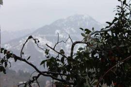 იყიდება სახლი, 7 ოთახიანი, ხელვაჩაური, ახალშენი