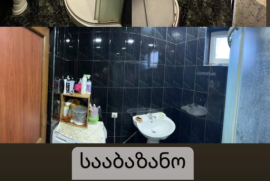 House For Sale, 5 Room, Suburbs of Tbilisi, Tskneti