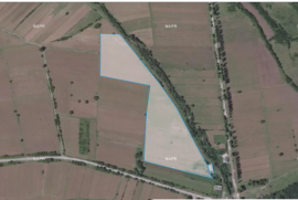 Land For Sale, Zeindari