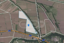 Land For Sale, Zeindari