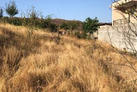 Land For Sale, Lisi lake