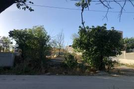 Land For Sale, Lisi lake