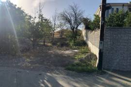 Land For Sale, Lisi lake