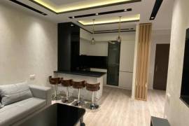 ქირავდება ბინა, 2 ოთახიანი, ახალი აშენებული, თბილისი, დიდი დიღომი