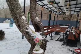 Аренда Посуточно, Гостиница, Мцхета