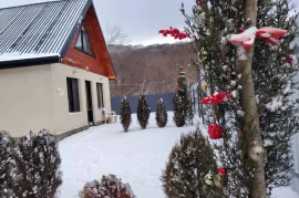 Аренда Посуточно, Гостиница, Мцхета