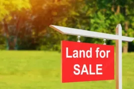 Land For Sale, Non Agricultural, Bazaleti 