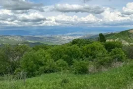 Продается Земля, Сельскохозяйственные, Бетания