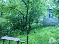 House For Sale, Surami