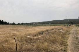 Land For Sale, Kaspi