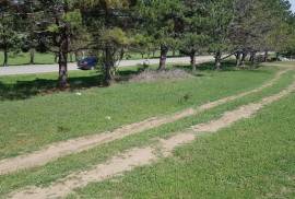 Land For Sale, Lisi lake